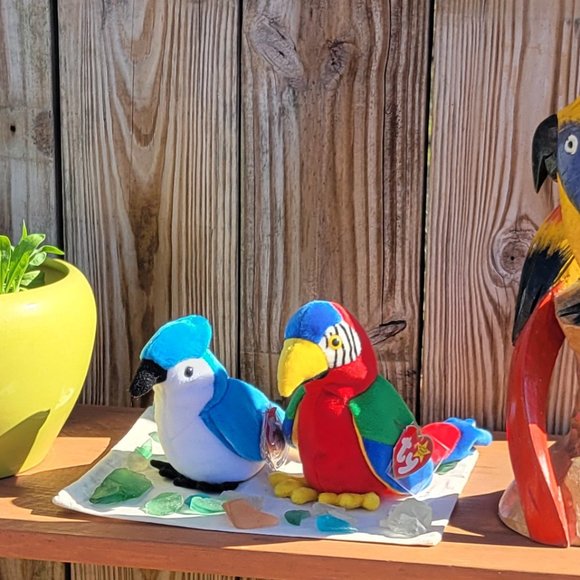 Ty Beanie Babies *RARE ERROR STAMP* Jabber Parrot Bird 1997 (Retired) - Picture 3 of 16